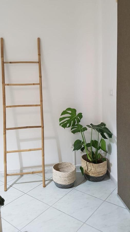 カプチオ・パエストゥム La Ceiba Speciosa Bed & Breakfast エクステリア 写真
