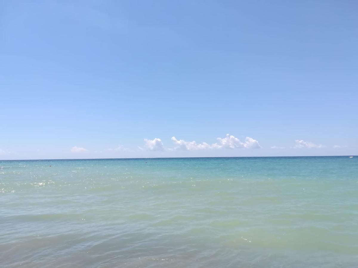 カプチオ・パエストゥム La Ceiba Speciosa Bed & Breakfast エクステリア 写真