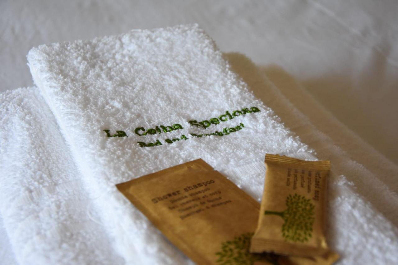 カプチオ・パエストゥム La Ceiba Speciosa Bed & Breakfast エクステリア 写真