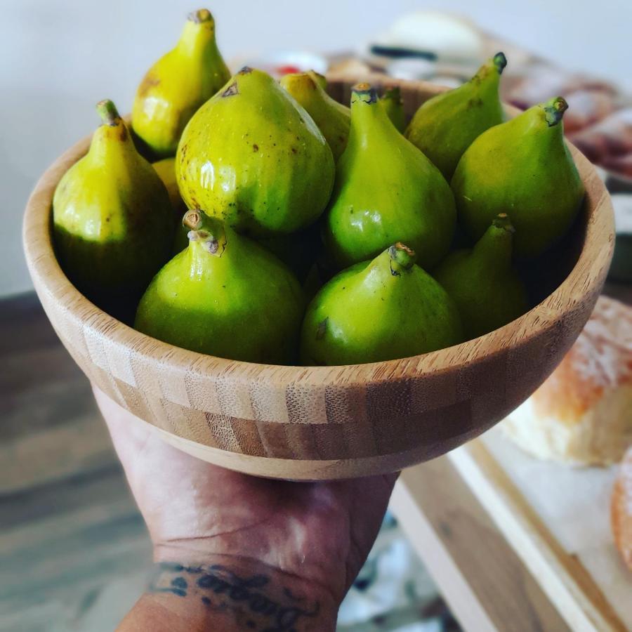カプチオ・パエストゥム La Ceiba Speciosa Bed & Breakfast エクステリア 写真